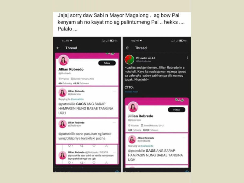 FACT CHECK: Jillian Robredo cursed at heckler on social media