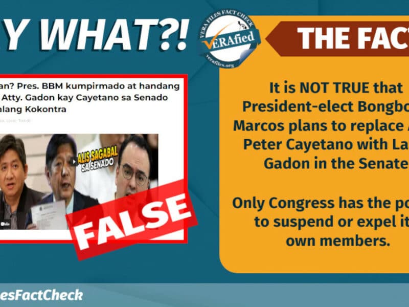 Gadon NOT replacing Cayetano as senator